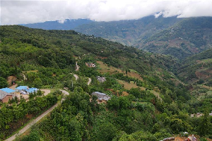 普洱茶區——馬鄧